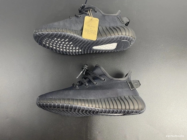 GX3791 Mono Boost Yeezy 350 Adidas Cinder V2 0809